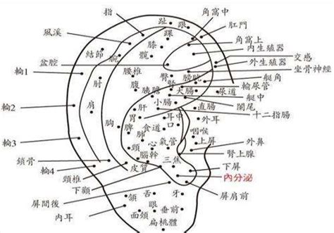 右耳廓有痣女|女人耳朵长痣面相图解 女人耳朵长痣面相图解大全